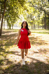 Delaney Mini Dress