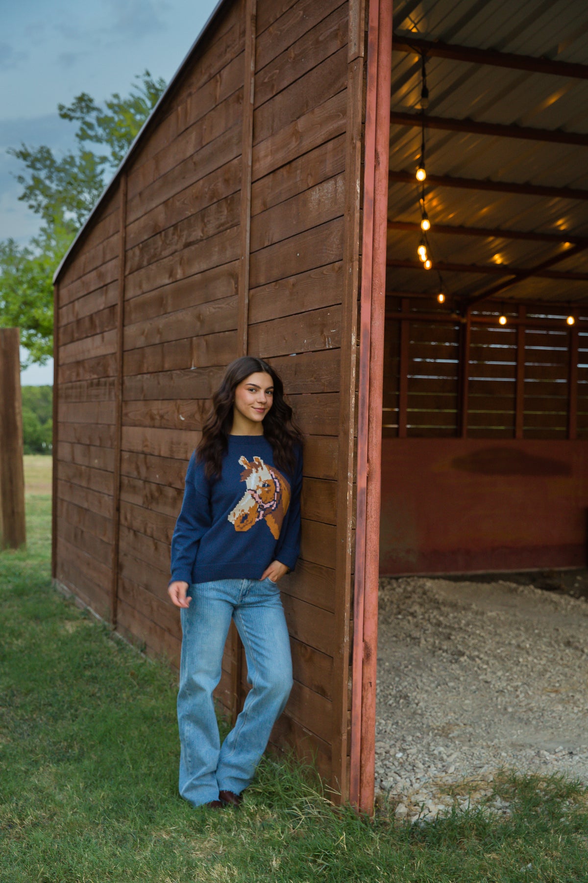 Wild Horses Sweater