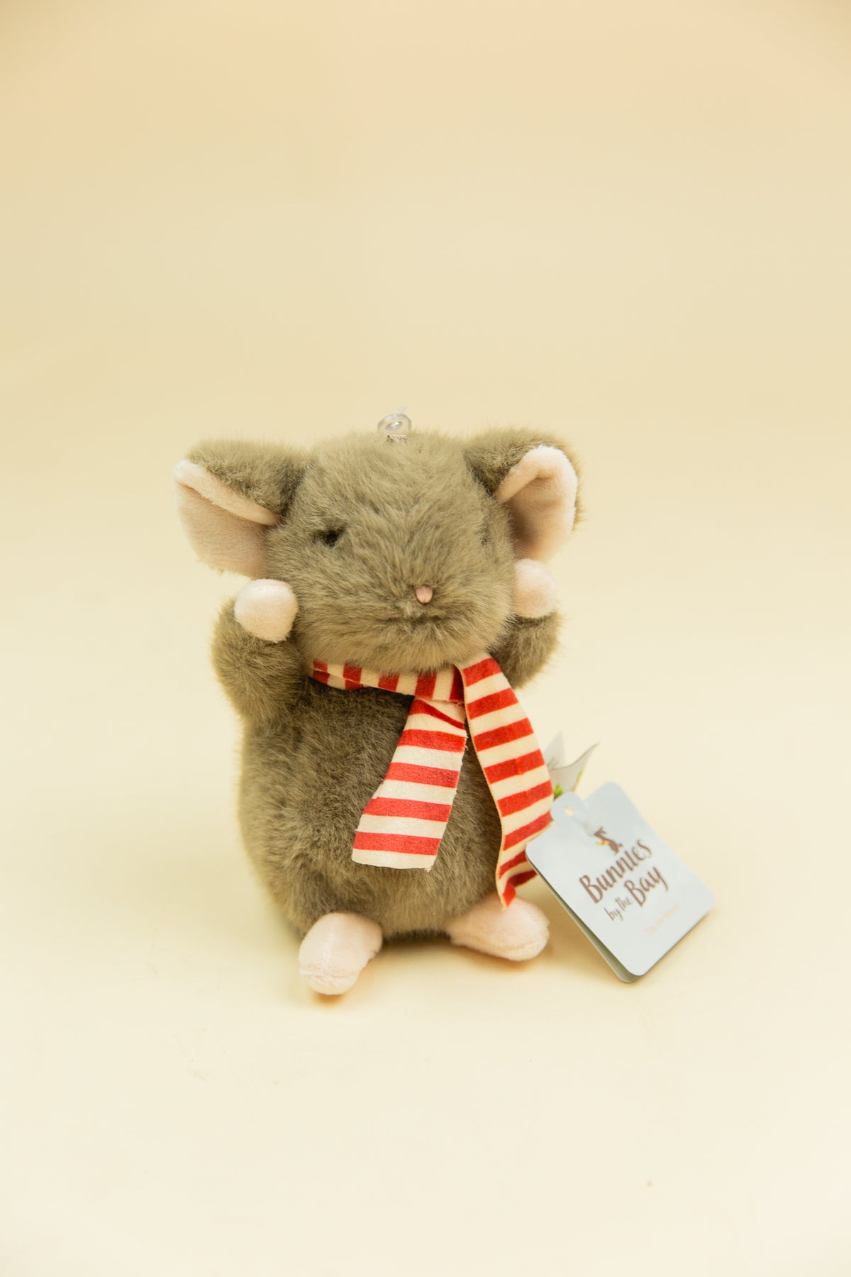 Tidy the Mouse