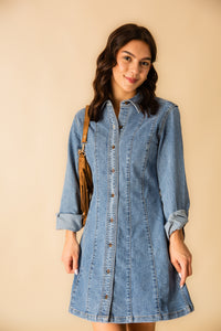 Bloomfield Denim Dress