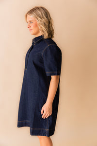 Jenna Collared Mini Dress