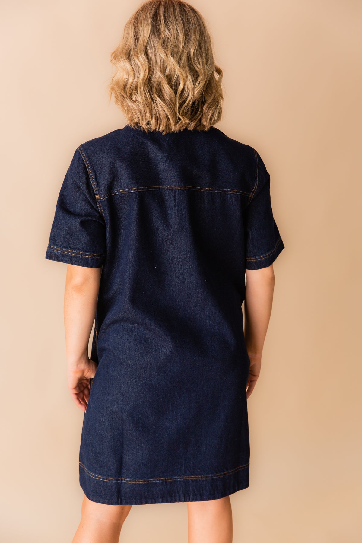Jenna Collared Mini Dress