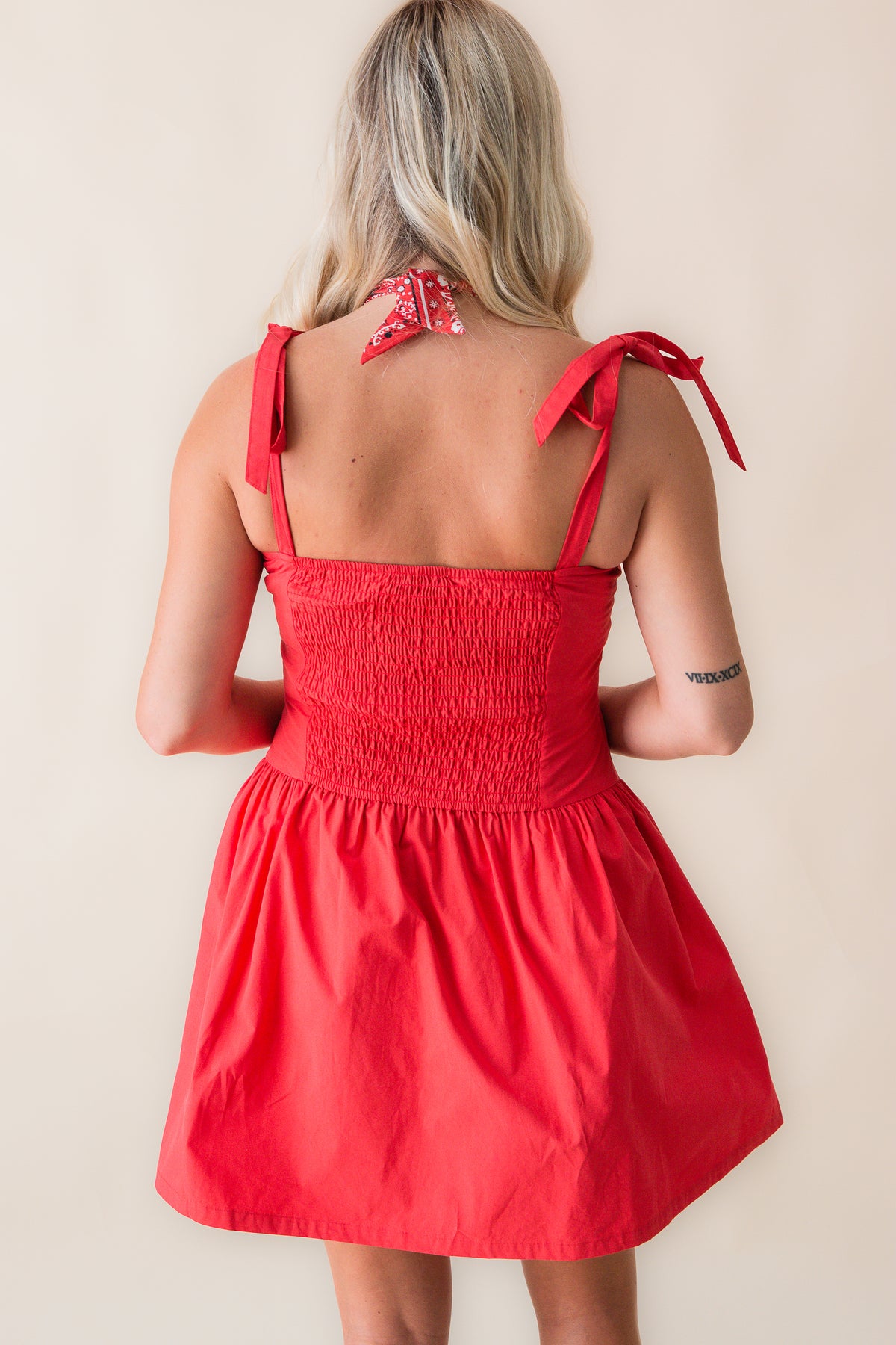 Canyon Pintuck Tie Mini Dress