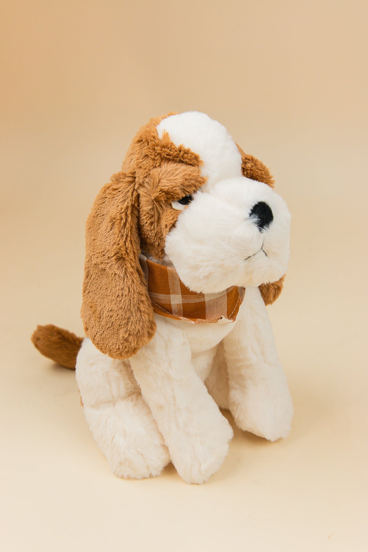 Copper Bassett Hound