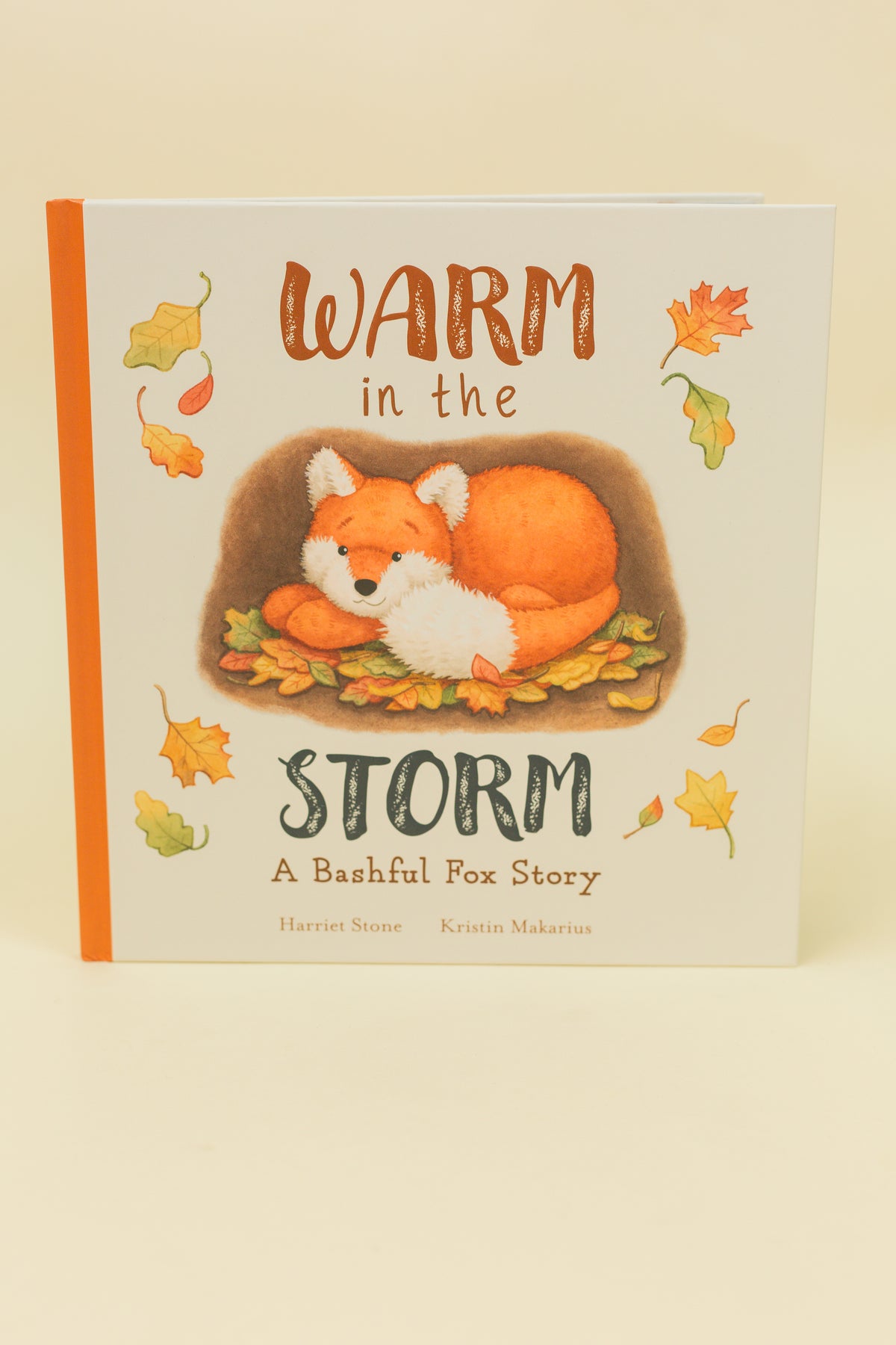 Warm In The Storm Book