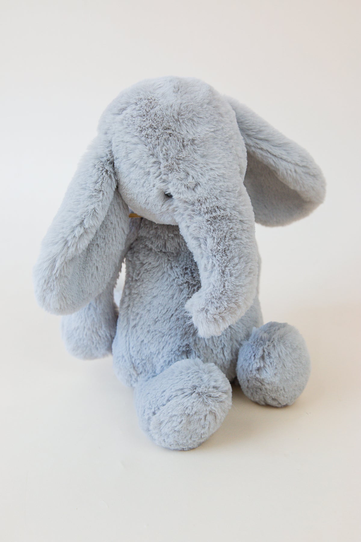Bashful Elephant Thuddeus