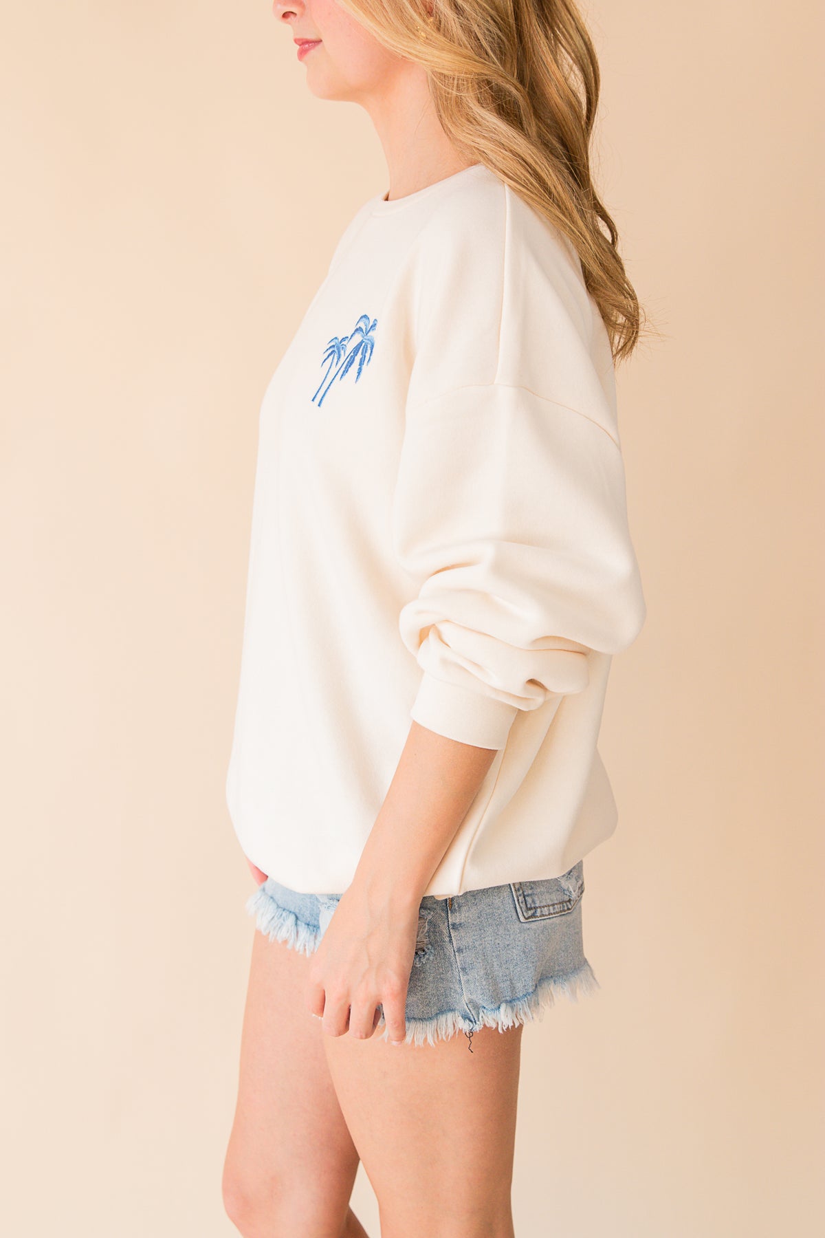 Coconut Embroidered Crewneck
