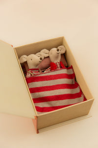 Christmas Twin Mice, Little Sister & Brother in Book