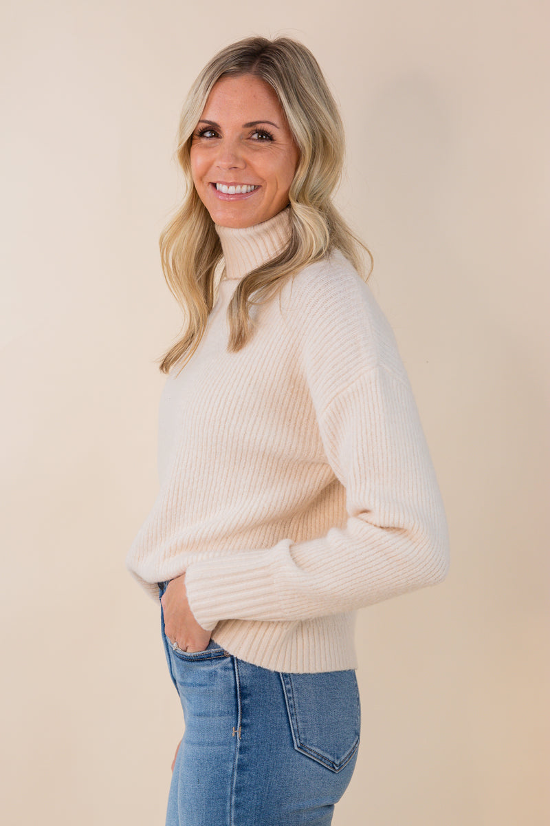 Fiona Turtleneck Pullover