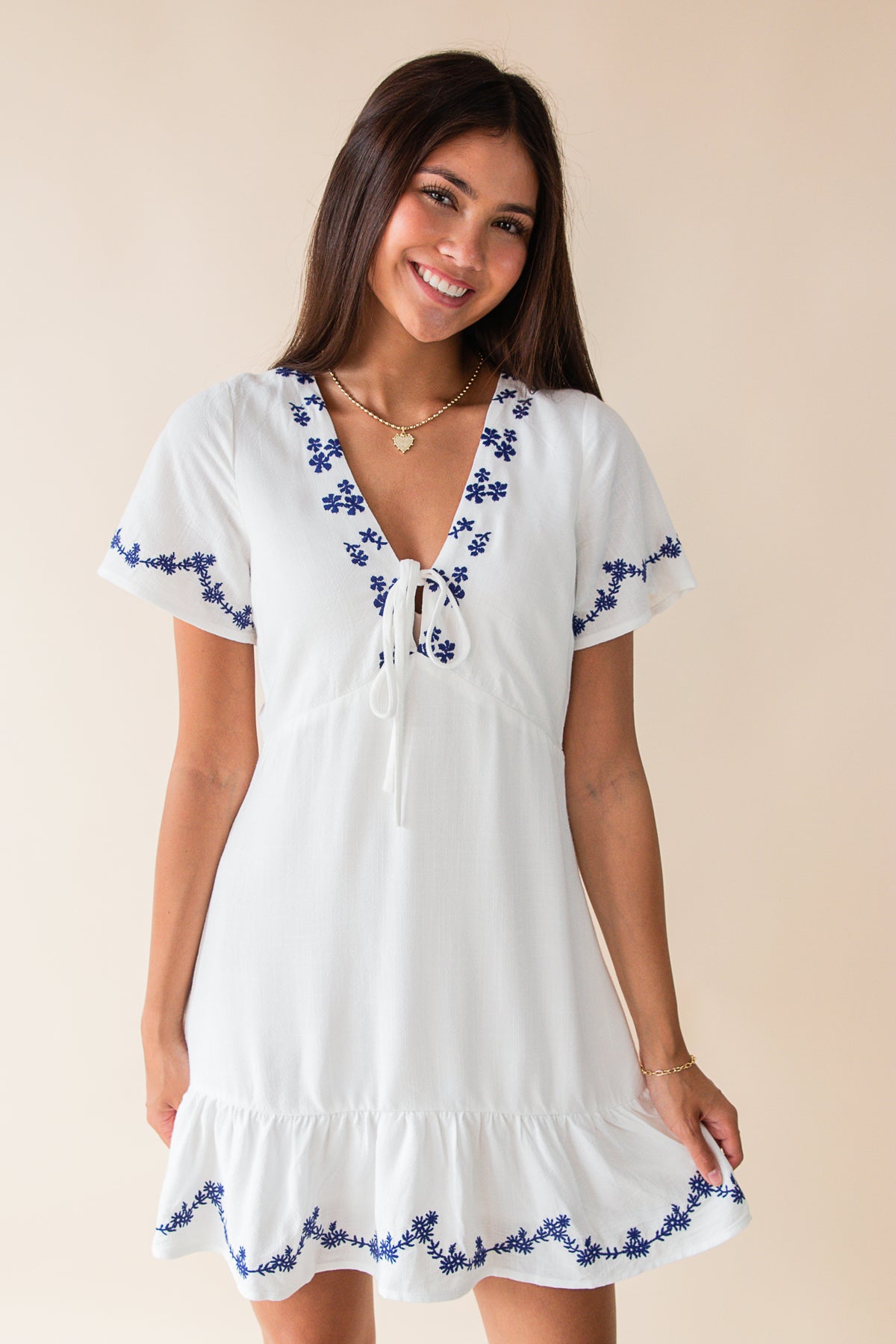 Timeless Embroidered Mini Dress