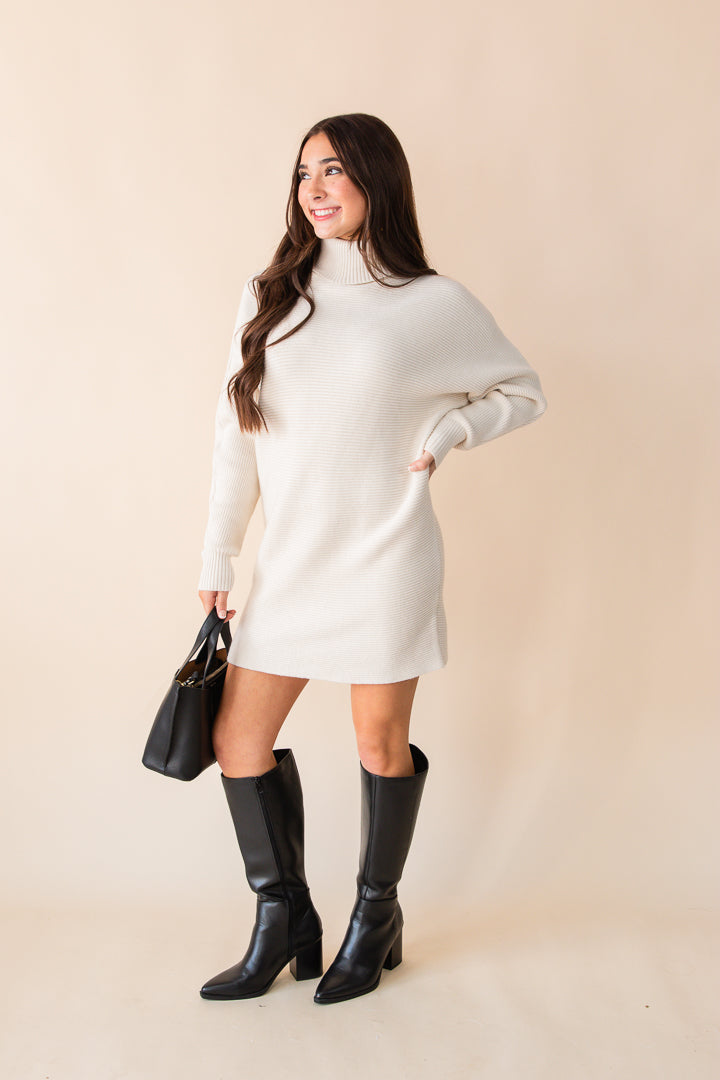 Anya Turtleneck Tunic Sweater