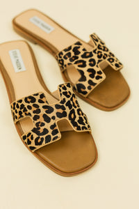 Hadyn Sandal