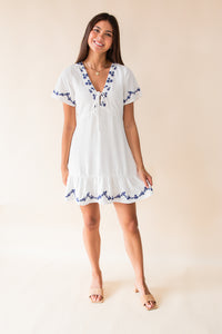 Timeless Embroidered Mini Dress
