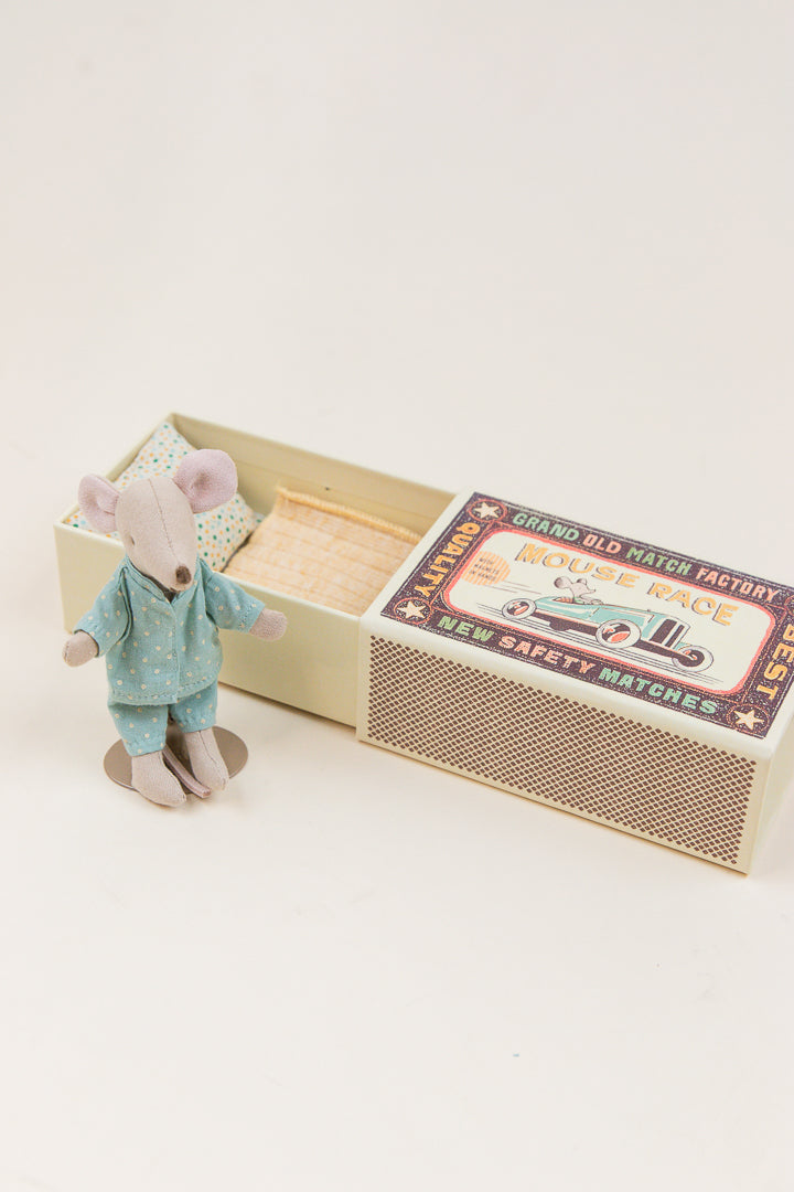 Little Sibling Mouse in Box