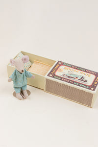 Little Sibling Mouse in Box