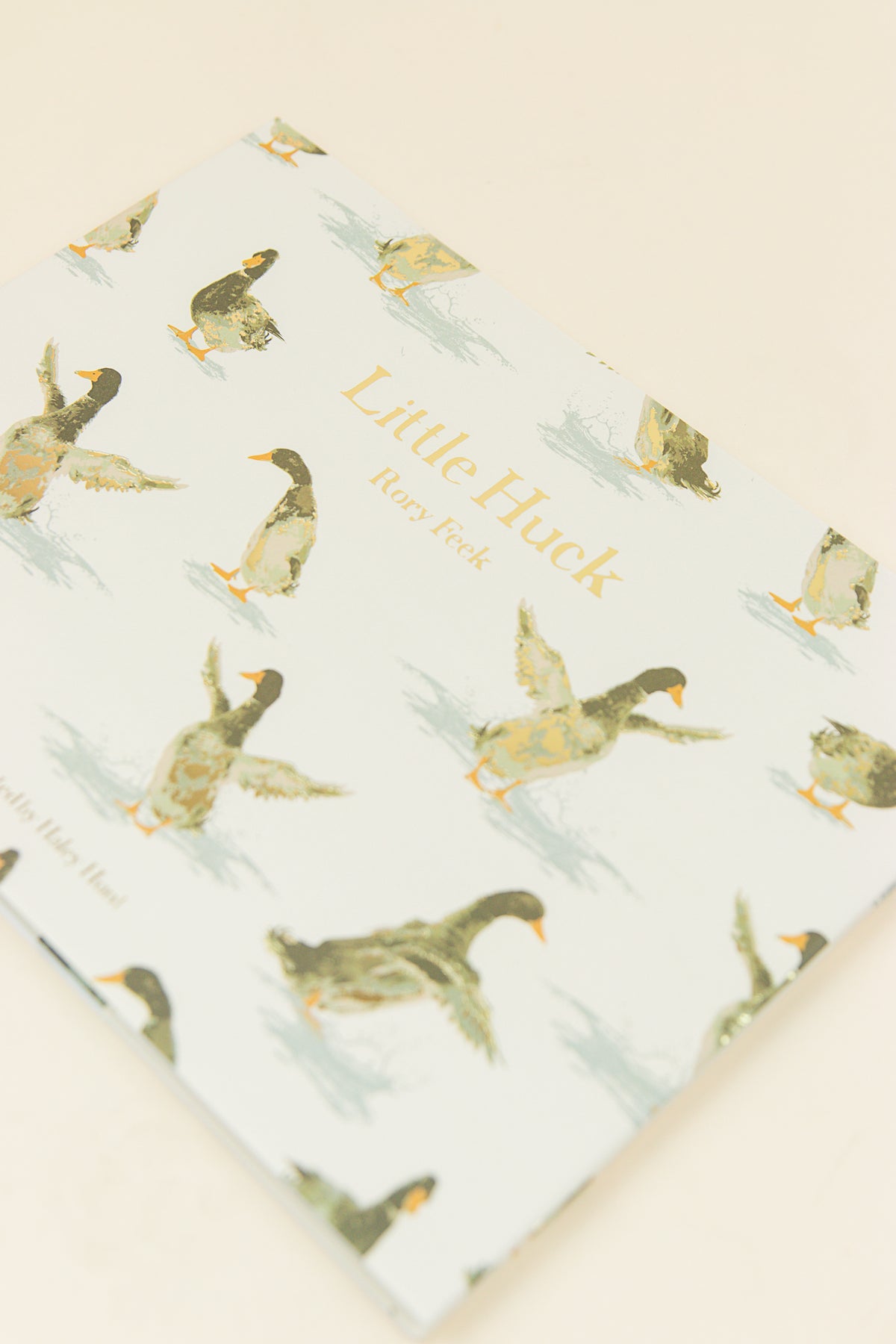 Book Little Huck