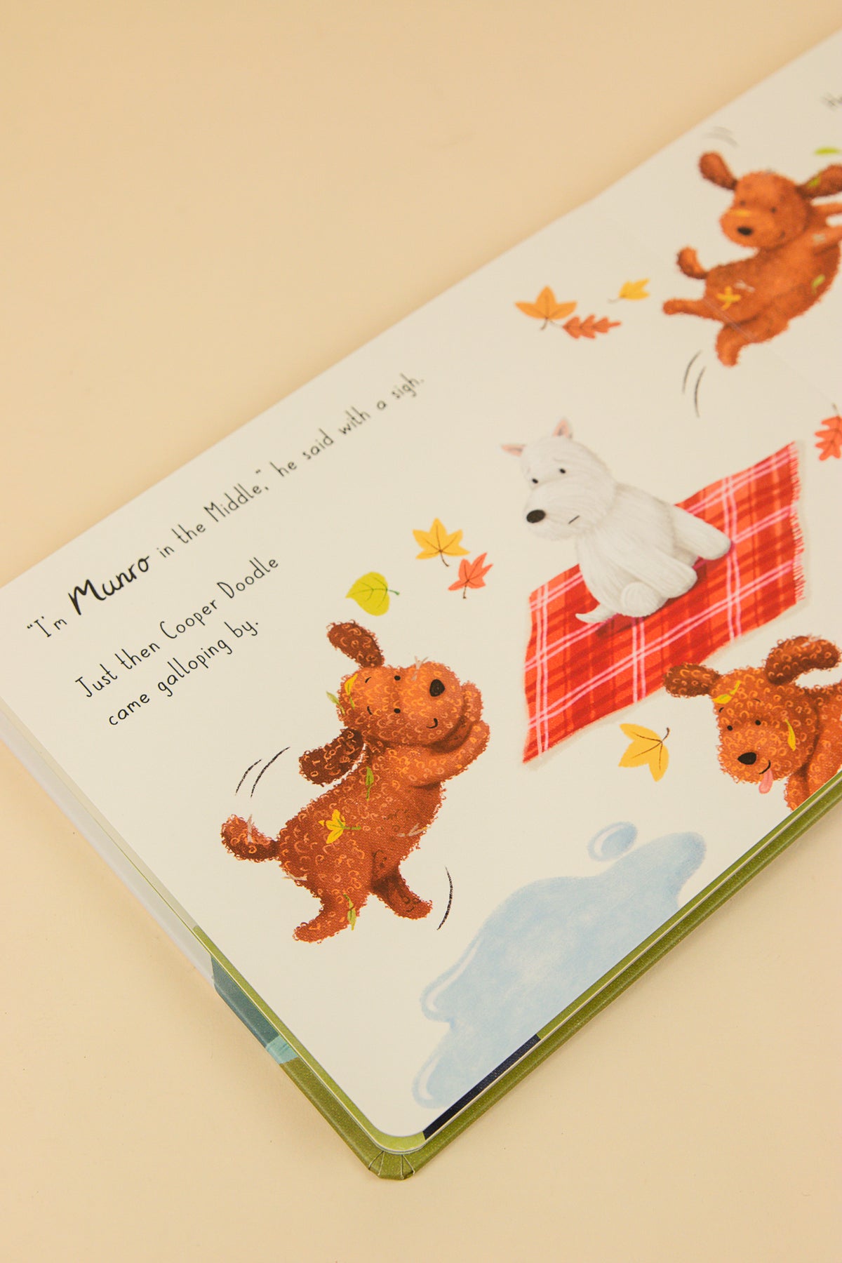 Munro in the Middle Book