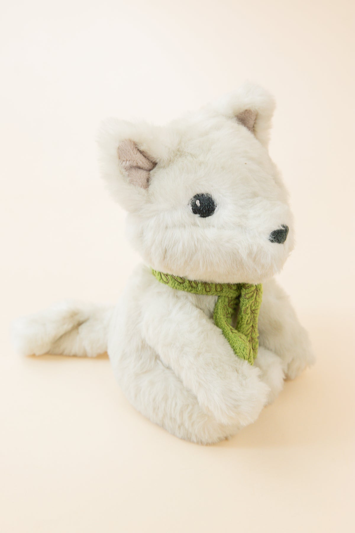 Plus Artic Fox- Why Not