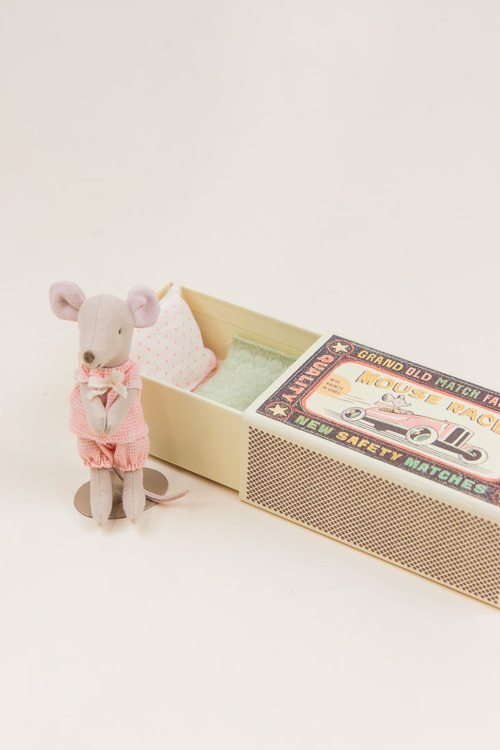 Little Sibling Mouse in Box