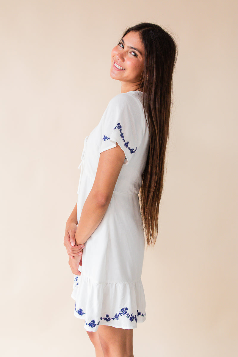Timeless Embroidered Mini Dress