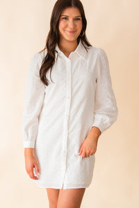 Sundream Eyelet Shirt Mini Dress