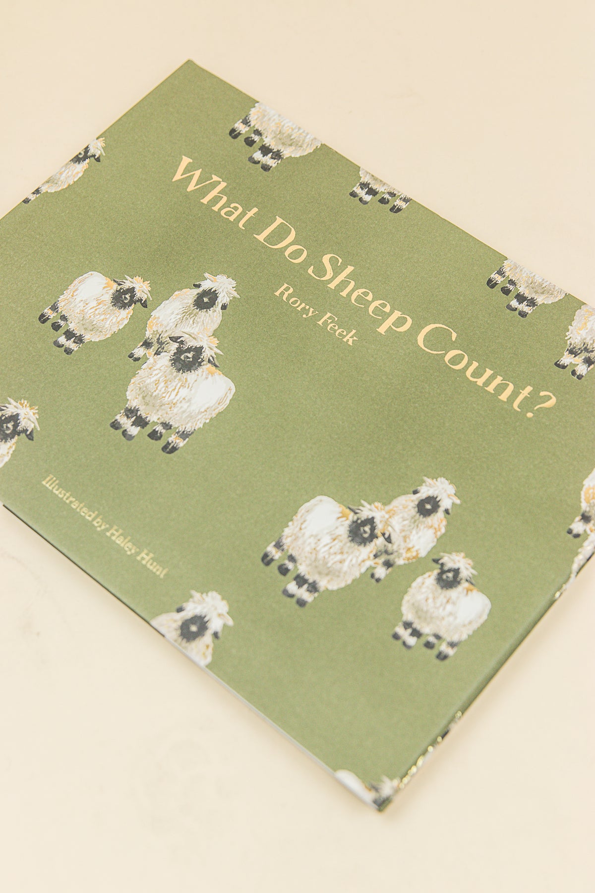 Book What Do Sheep Count?
