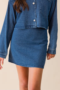 Chances Denim Skirt