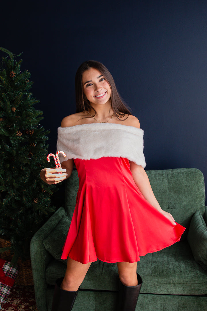 Santa Baby Mini Dress