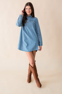 Aileen Mini Dress