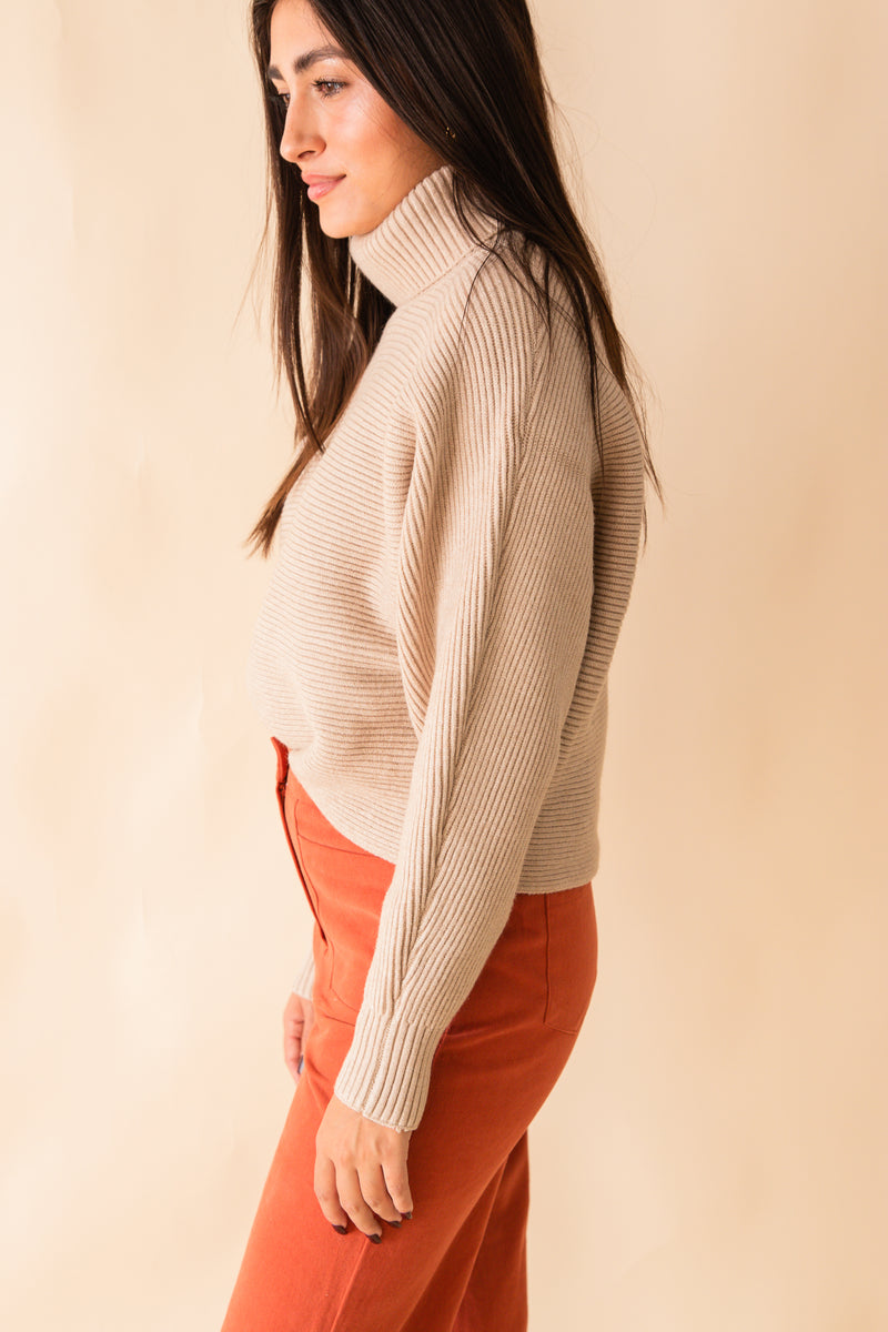 Anya Turtleneck Dolman SLV Sweater