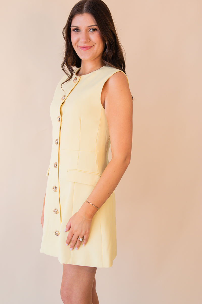 Zoey Mini Dress