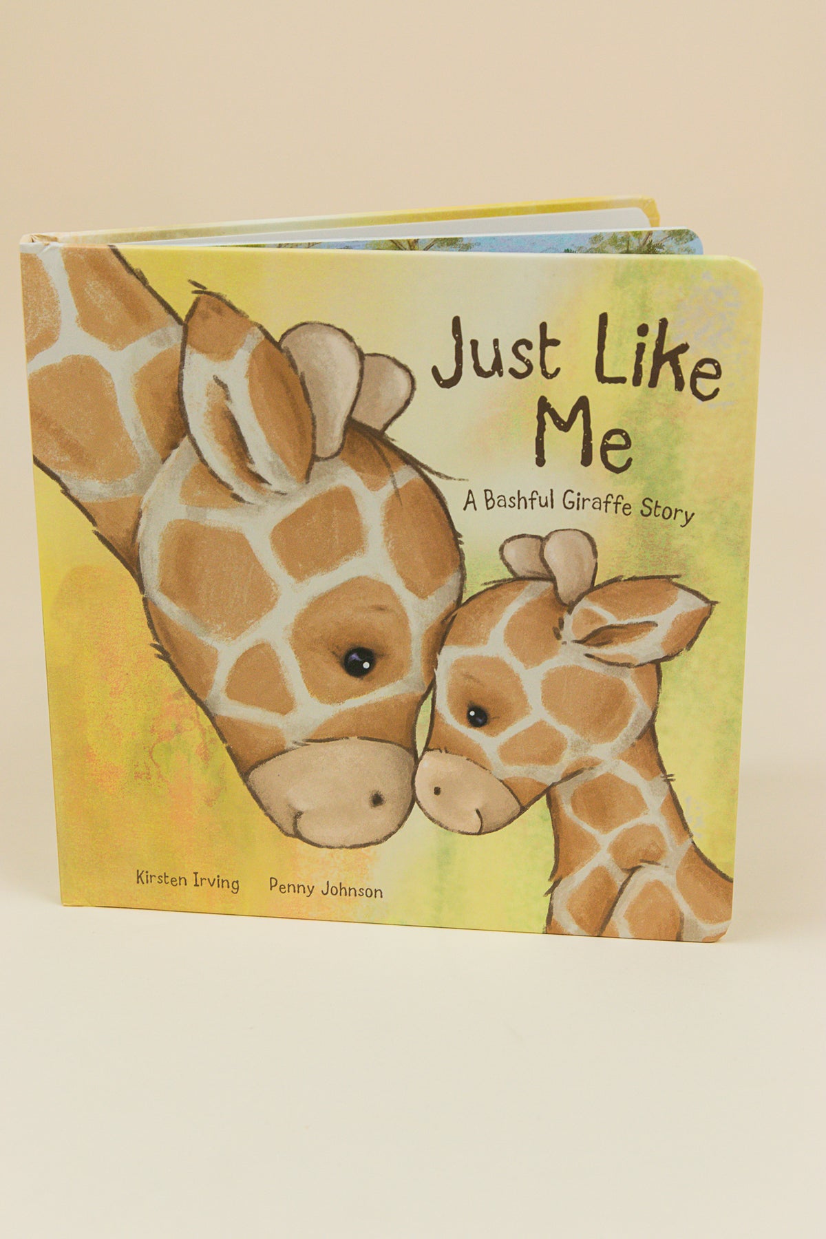 Just Like Me Book
