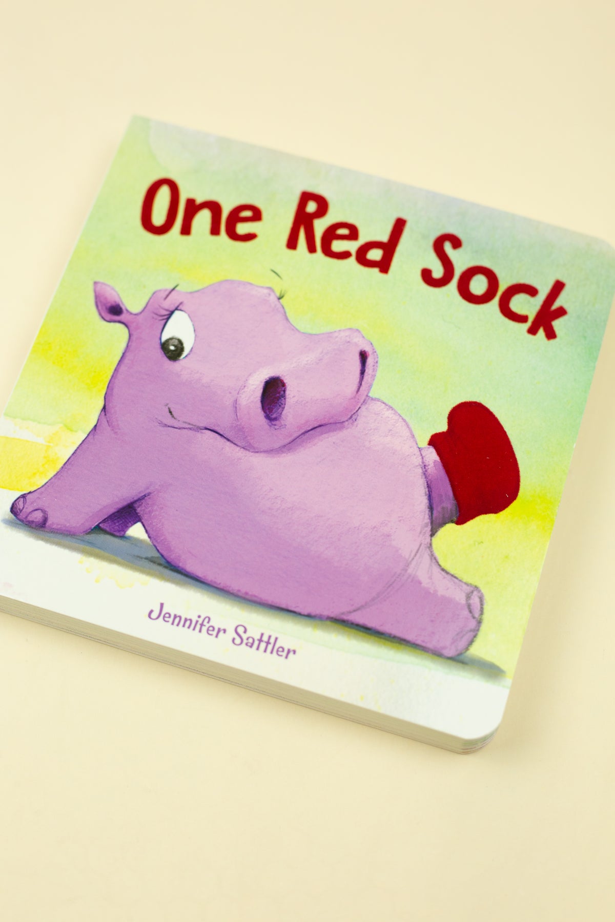 One Red Sock Board Book