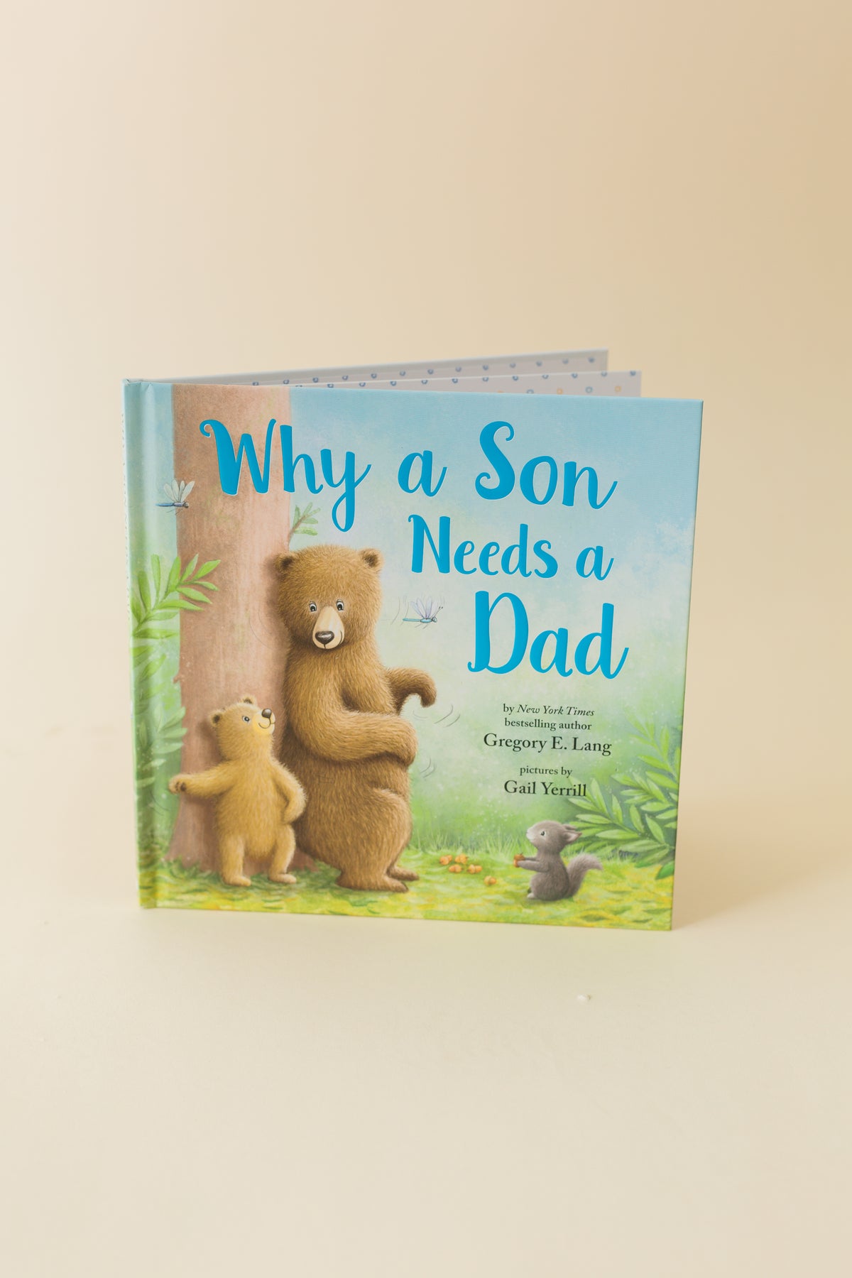 Why A Son Needs A Dad Book