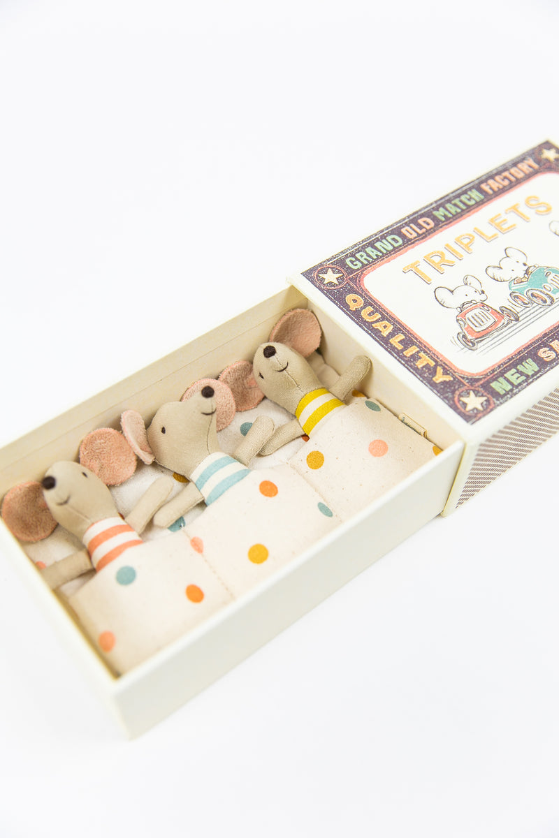 Baby Mice in Matchbox